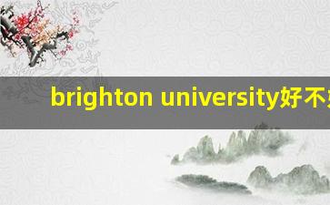 brighton university好不好